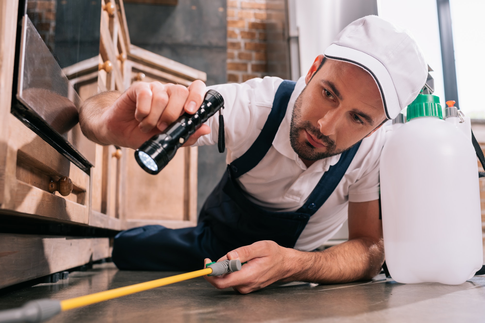 pest inspection technician examining cabinets Elmsford NY exterminator