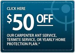 coupon termite ant control veganix new york